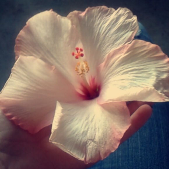 Meet your Posher, Brianna - Picture 1 of 1